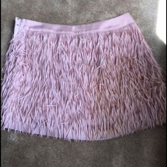 Express Mini Pink Skirt - Picture 4 of 4
